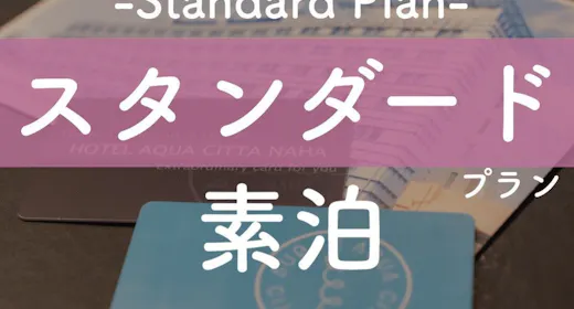 【スプラッシュサマーセール】青い空がすぐそこ!天空プールで空を泳ぐような新体験【1名】(素泊)