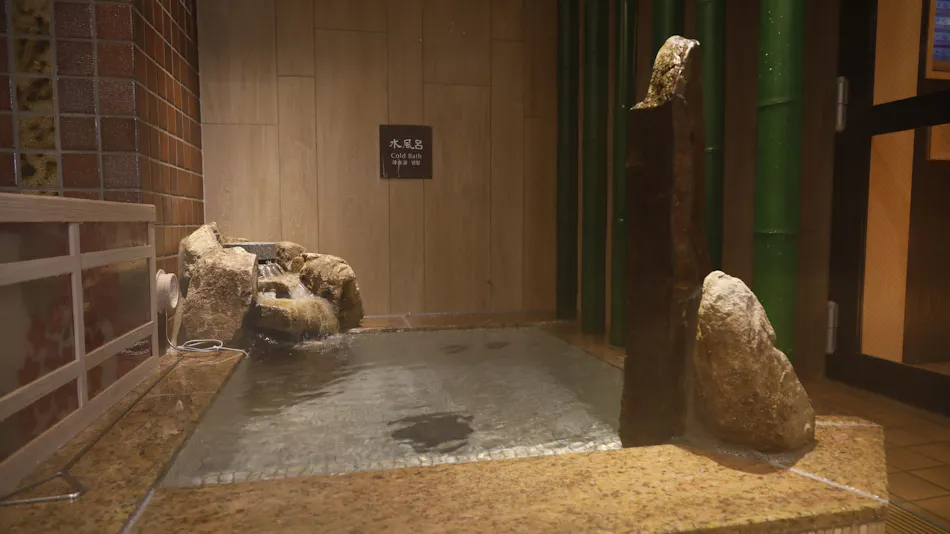 Natural Hot Spring Myogi no Yu Dormy Inn Maebashi