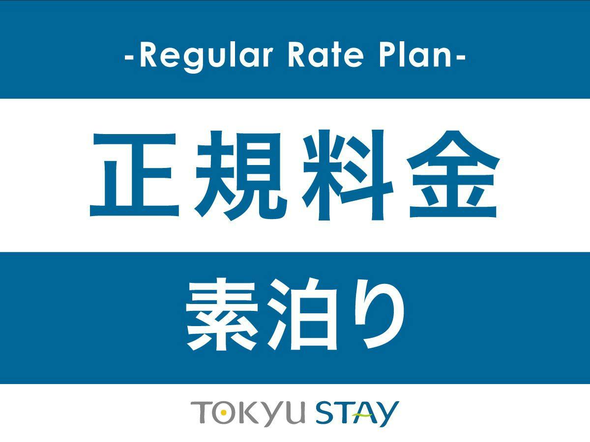【正規料金】正規料金プラン【1名】（素泊）