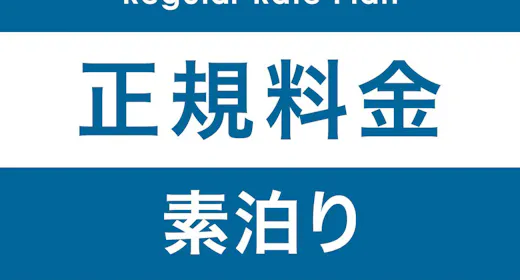 【正規料金】正規料金プラン【1名】(素泊)