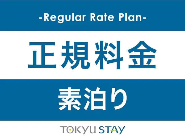 【正規料金】正規料金プラン【1名】(素泊)