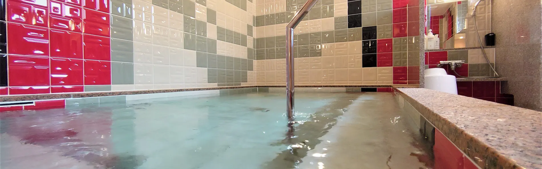グリーンリッチホテル米子駅前(人工温泉 二股湯の華)