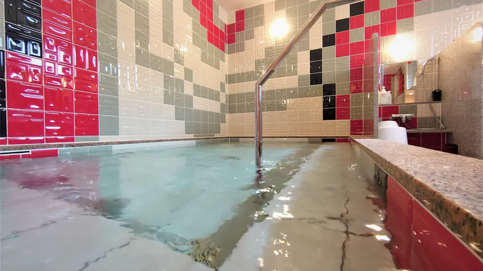 Green Rich Hotel Yonago Ekimae (Artificial Hot Spring Futamata Yunohana)