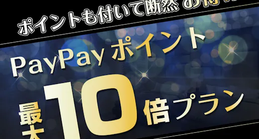 【ポイント最大10倍】\感謝の気持ちを込めて~期間限定プラン~/素泊まり