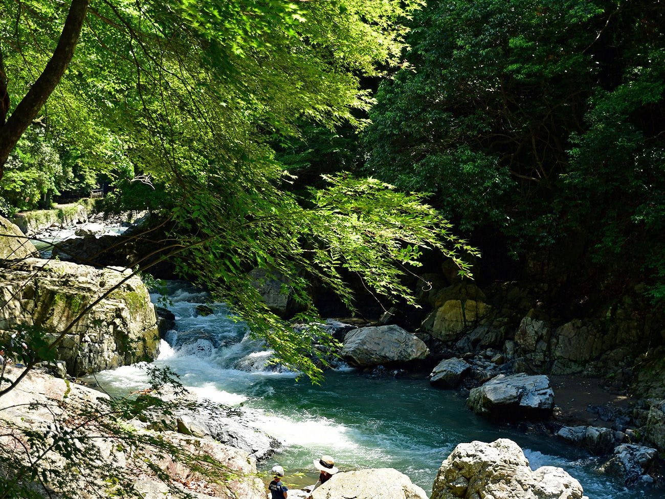 ホテルアベストグランデ高槻