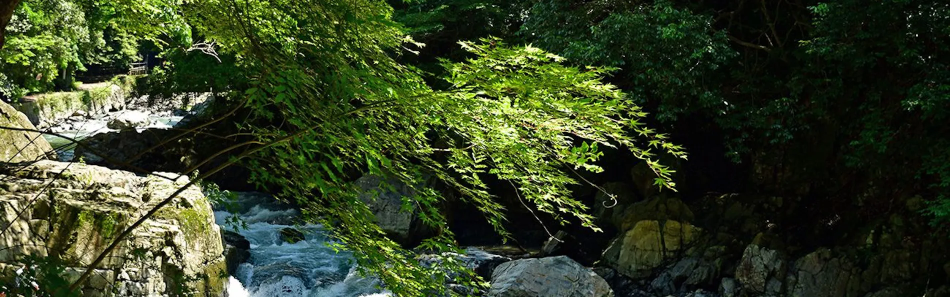 ホテルアベストグランデ高槻