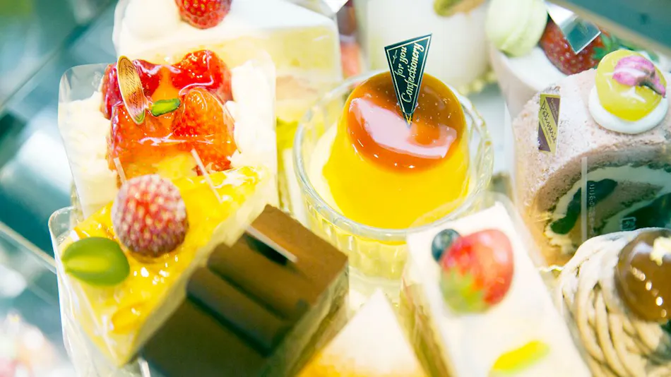 Kanazawa New Grand Hotel Prestige