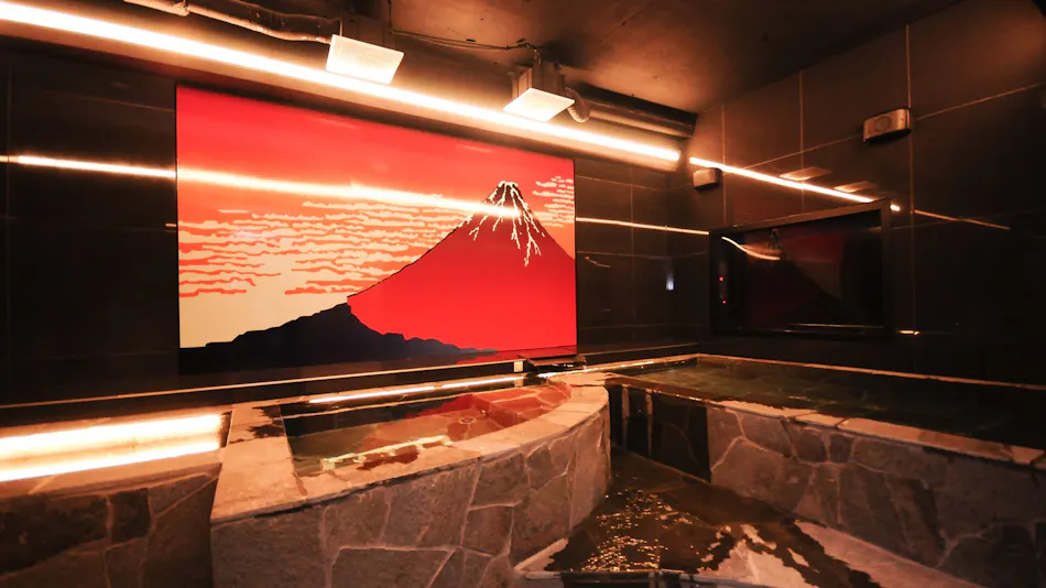 Hotel Japanesque Fukuoka