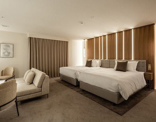 デラックスツイン（一例）