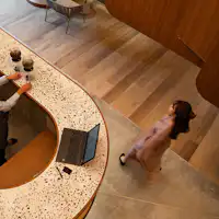 แผนกต้อนรับและล็อบบี้