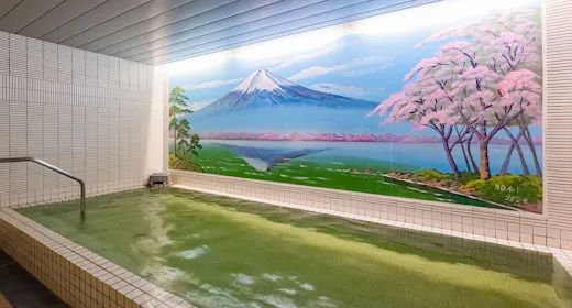 【スタンダード】素泊り宿泊プラン<月替わりの三大名湯~サウナ付き温泉大浴場を楽しむ>