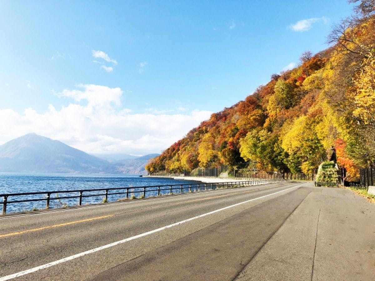【10～11月先取り】素泊り／9月末までのご予約で秋の終わりの苫小牧を楽しむ