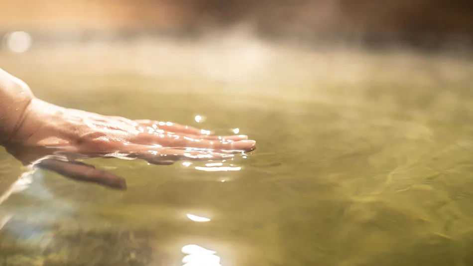 Super Hotel Premier Namba Shinsaibashi Natural Hot Spring