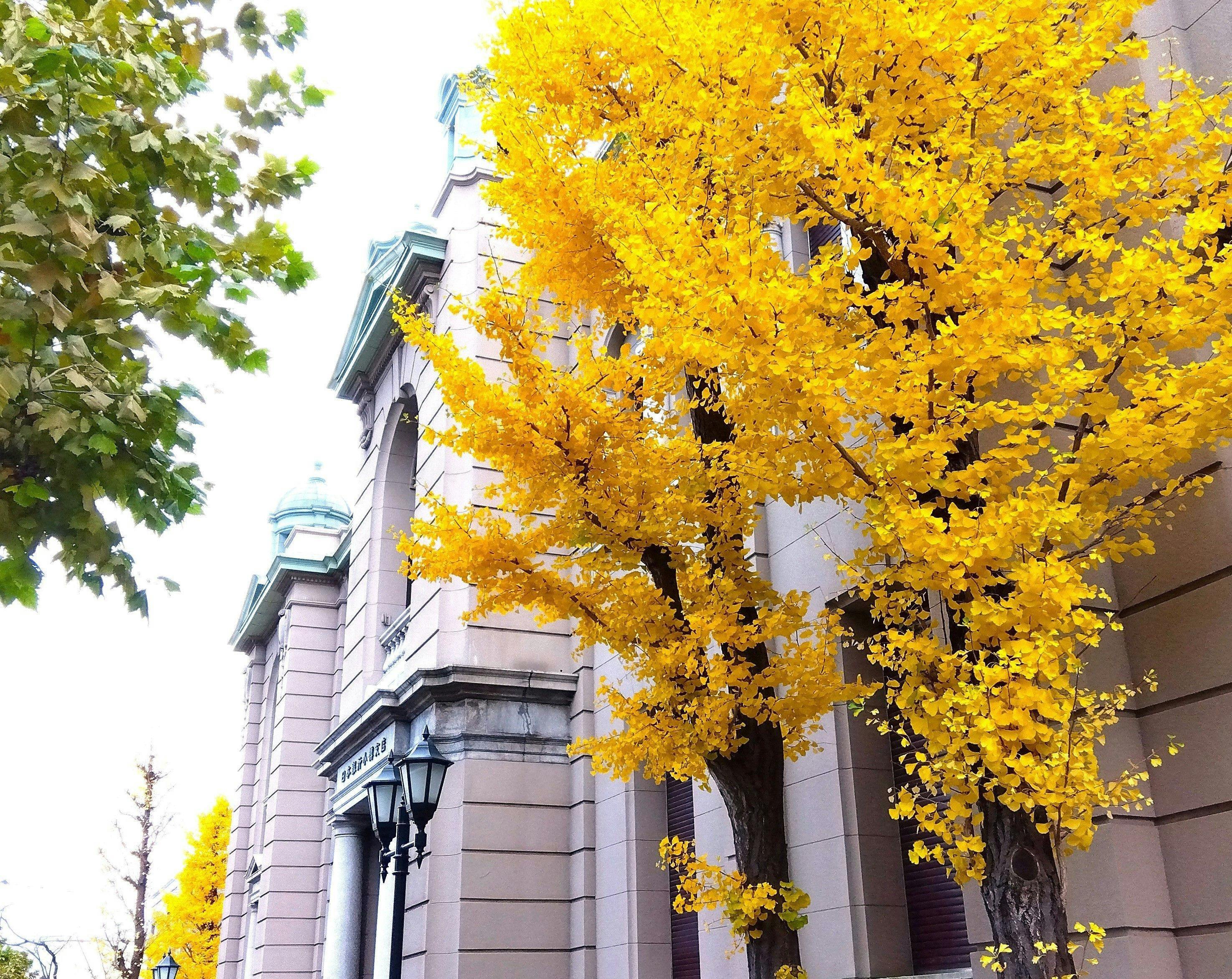 【สถานที่ท่องเที่ยวใกล้เคียง】พิพิธภัณฑ์การเงิน