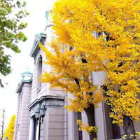 【สถานที่ท่องเที่ยวใกล้เคียง】พิพิธภัณฑ์การเงิน