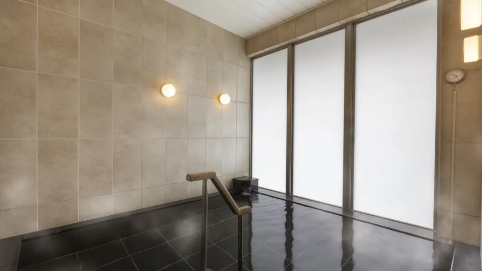 Ibis Styles Tokyo Ginza East