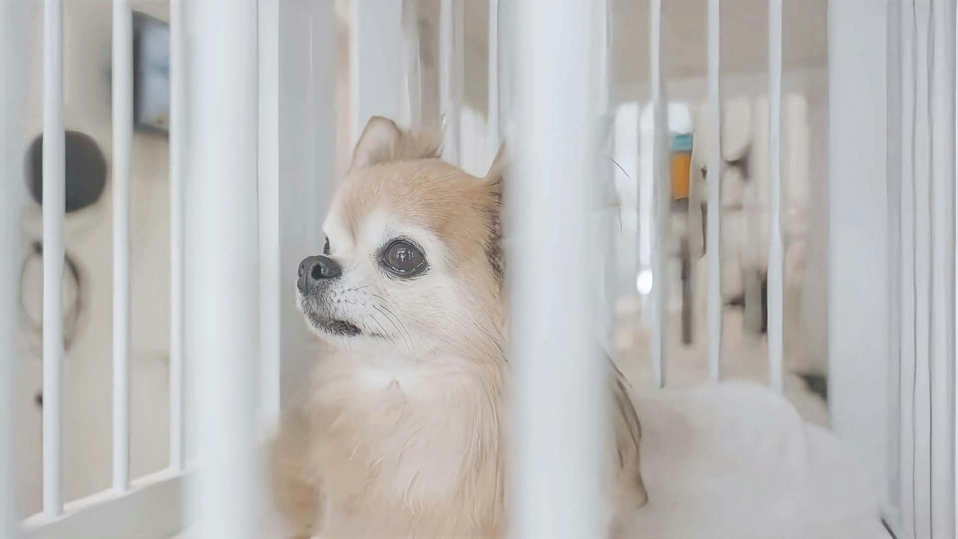 ホテルトーイン京都