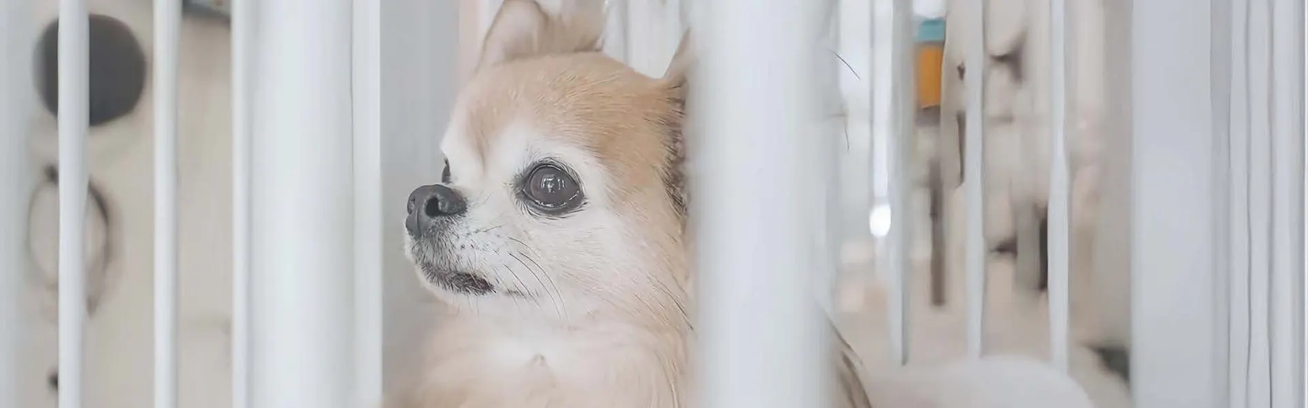 ホテルトーイン京都