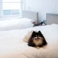 ベッドの上