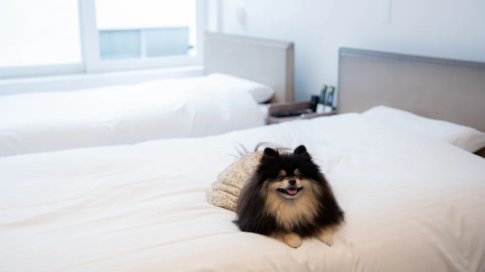 Hotel Toin Kyoto