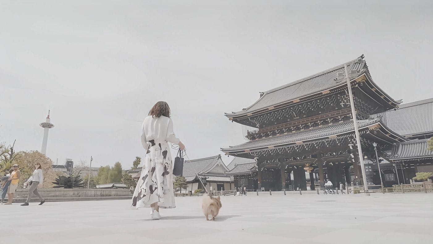愛犬と近くを散歩