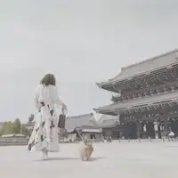 愛犬と近くを散歩
