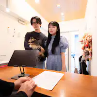 フロント