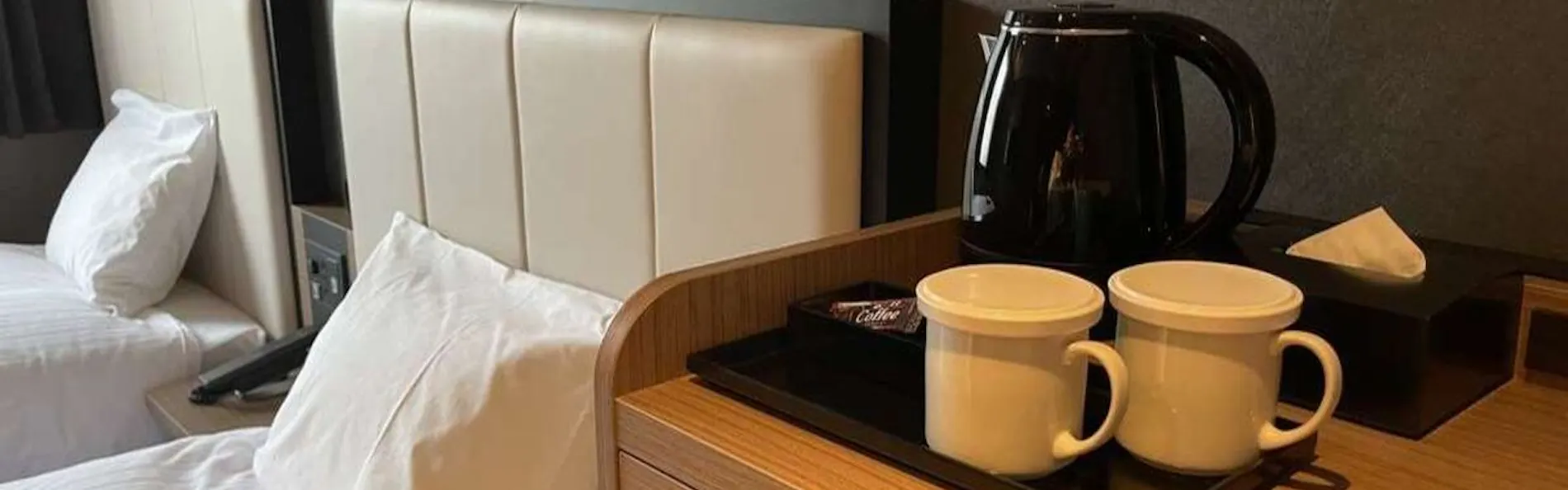 Welina Hotel Premier 中之島West