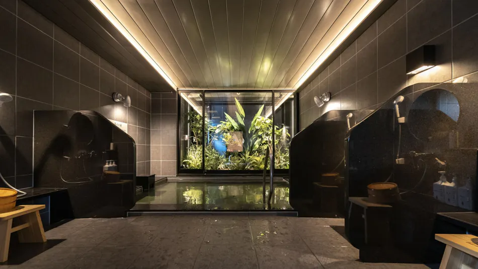 Natural Hot Spring Superhotel Premier Toyama Castle Park