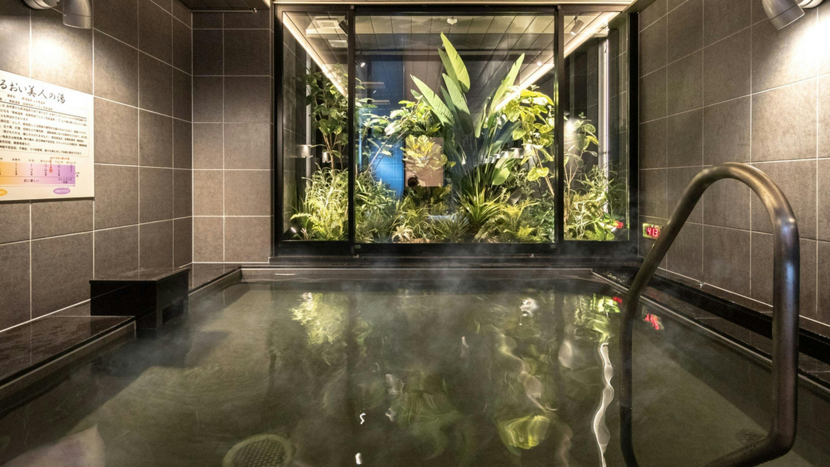 Natural Hot Spring Superhotel Premier Toyama Castle Park