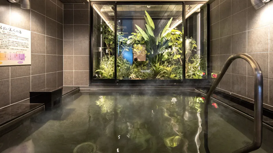 Natural Hot Spring Superhotel Premier Toyama Castle Park