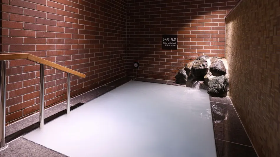 Natural Onsen Wakasa no Yu Dormy Inn Tsuruga