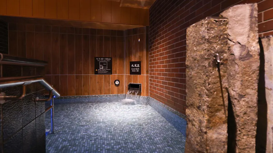 Natural Onsen Wakasa no Yu Dormy Inn Tsuruga