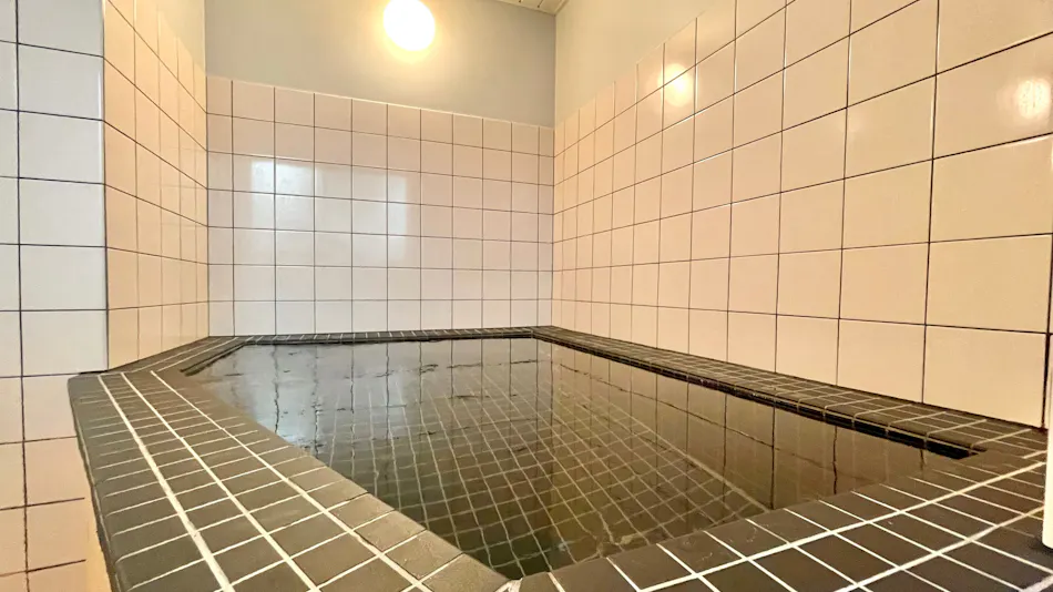 Hotel Mayflower Sendai