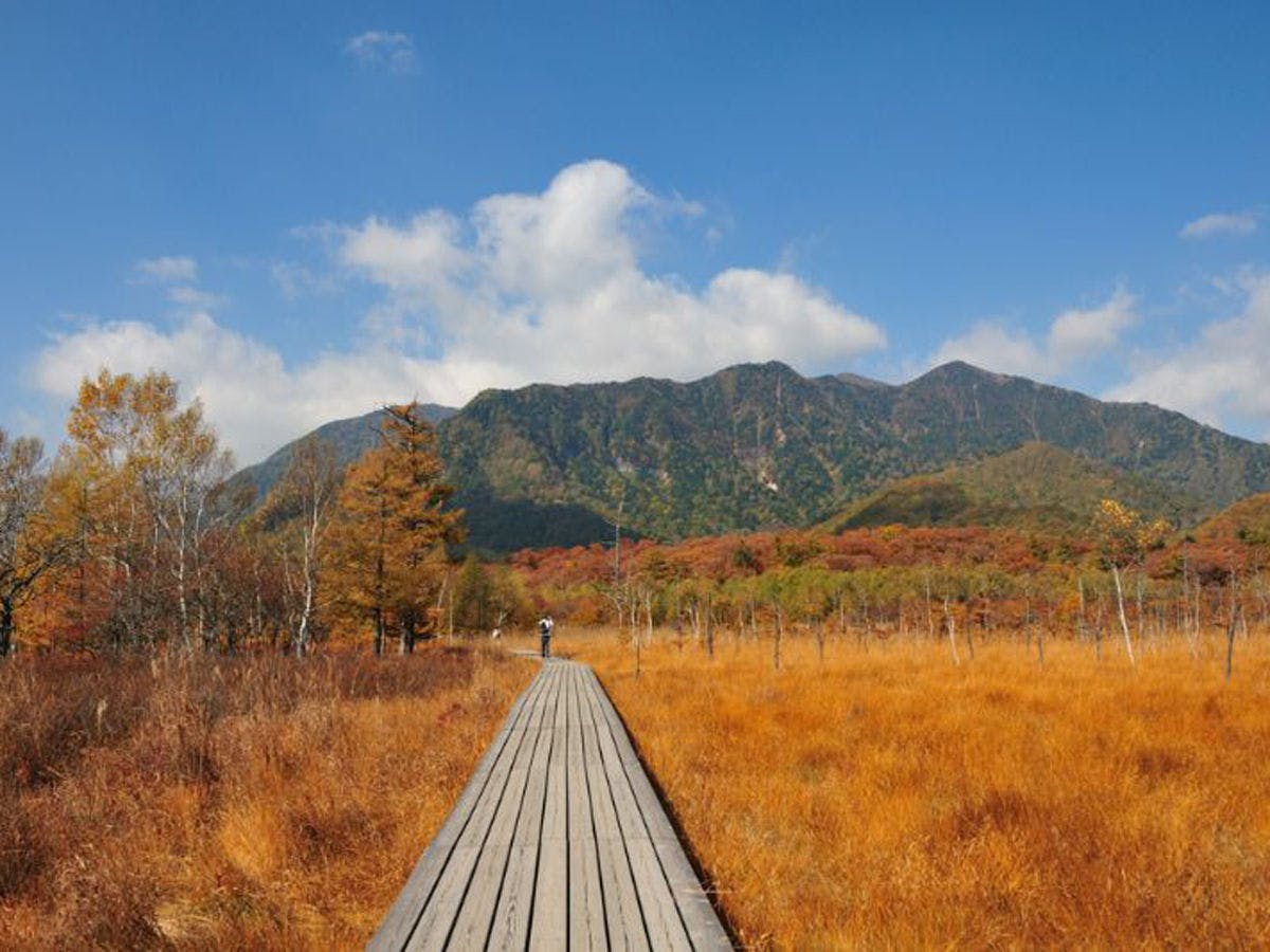 เซ็นโจงาฮาระ