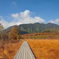 เซ็นโจงาฮาระ