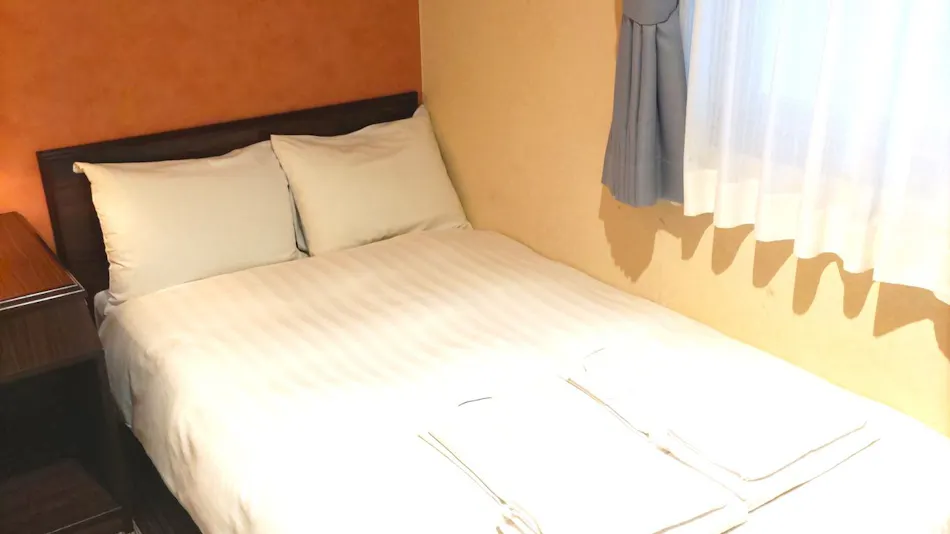 Hotel Green With