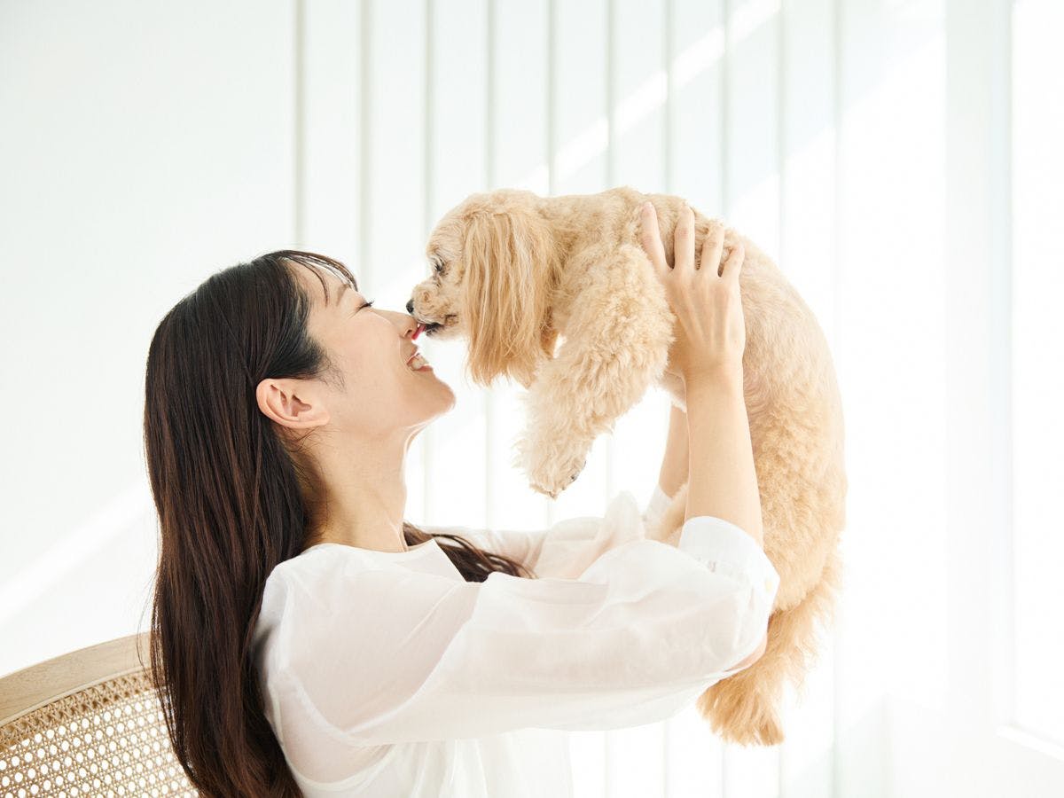 พักได้พร้อมสุนัข