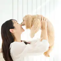 พักได้พร้อมสุนัข