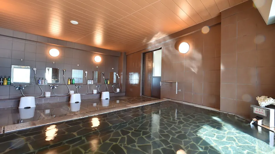 Tateyama Resort Hotel