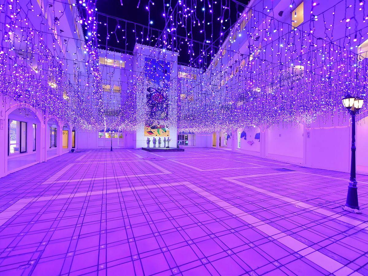 Tateyama Resort Hotel