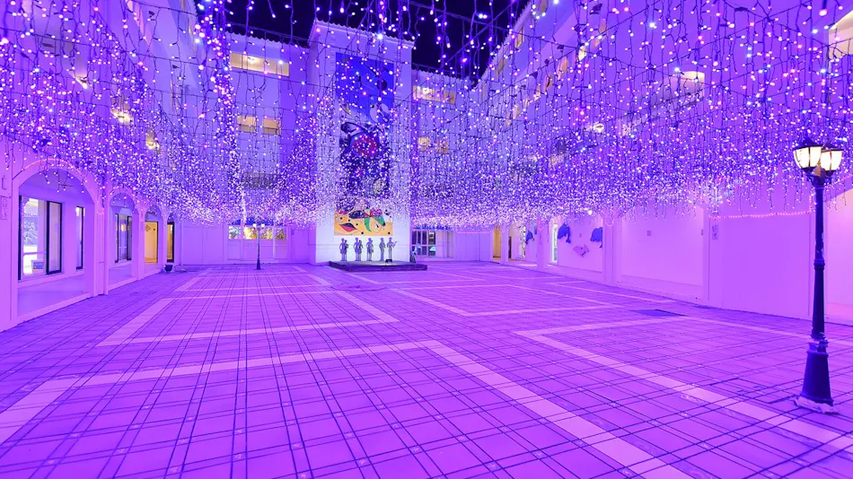 Tateyama Resort Hotel