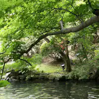 ฤดูร้อนที่เขียวขจีและเต็มไปด้วยพลัง