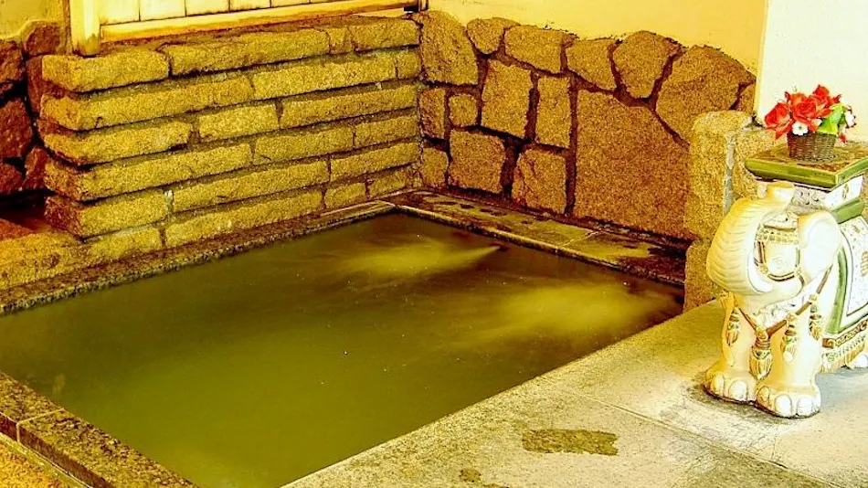 Central Hotel:Traditional Japanese style inn