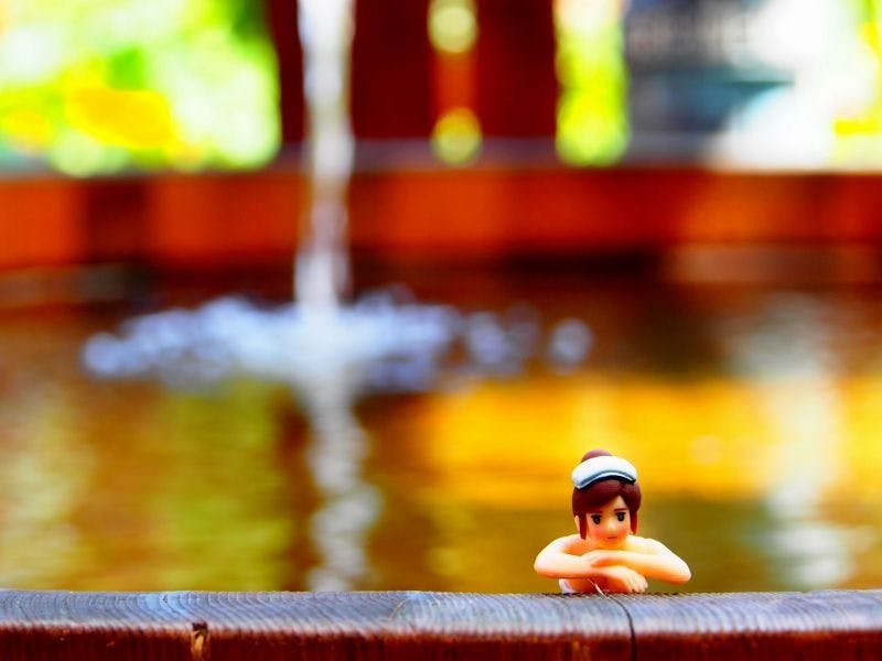 Central Hotel:Traditional Japanese style inn