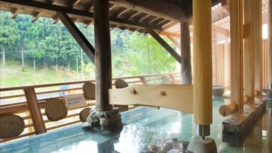 Shinappi Onsen Seiryukaku