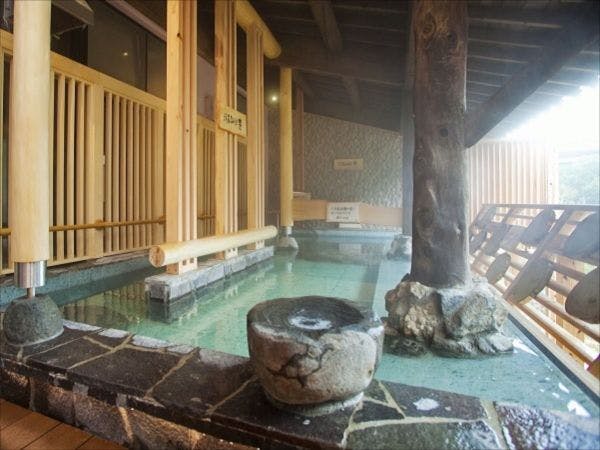 Shinappi Onsen Seiryukaku
