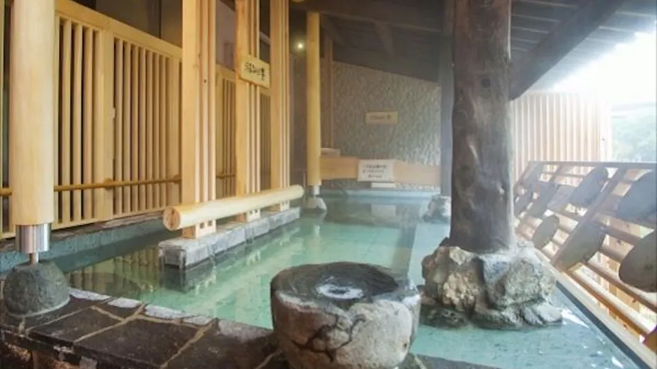 Shinappi Onsen Seiryukaku