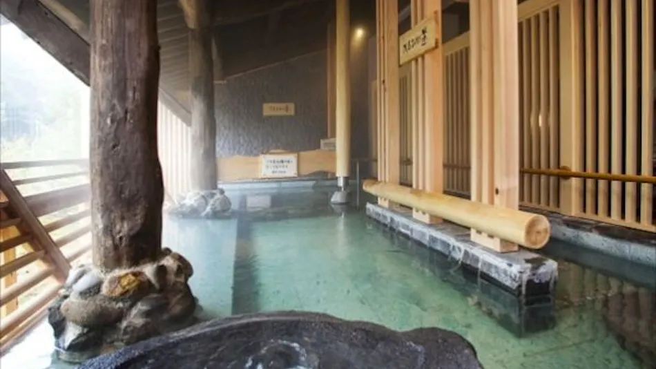 Shinappi Onsen Seiryukaku
