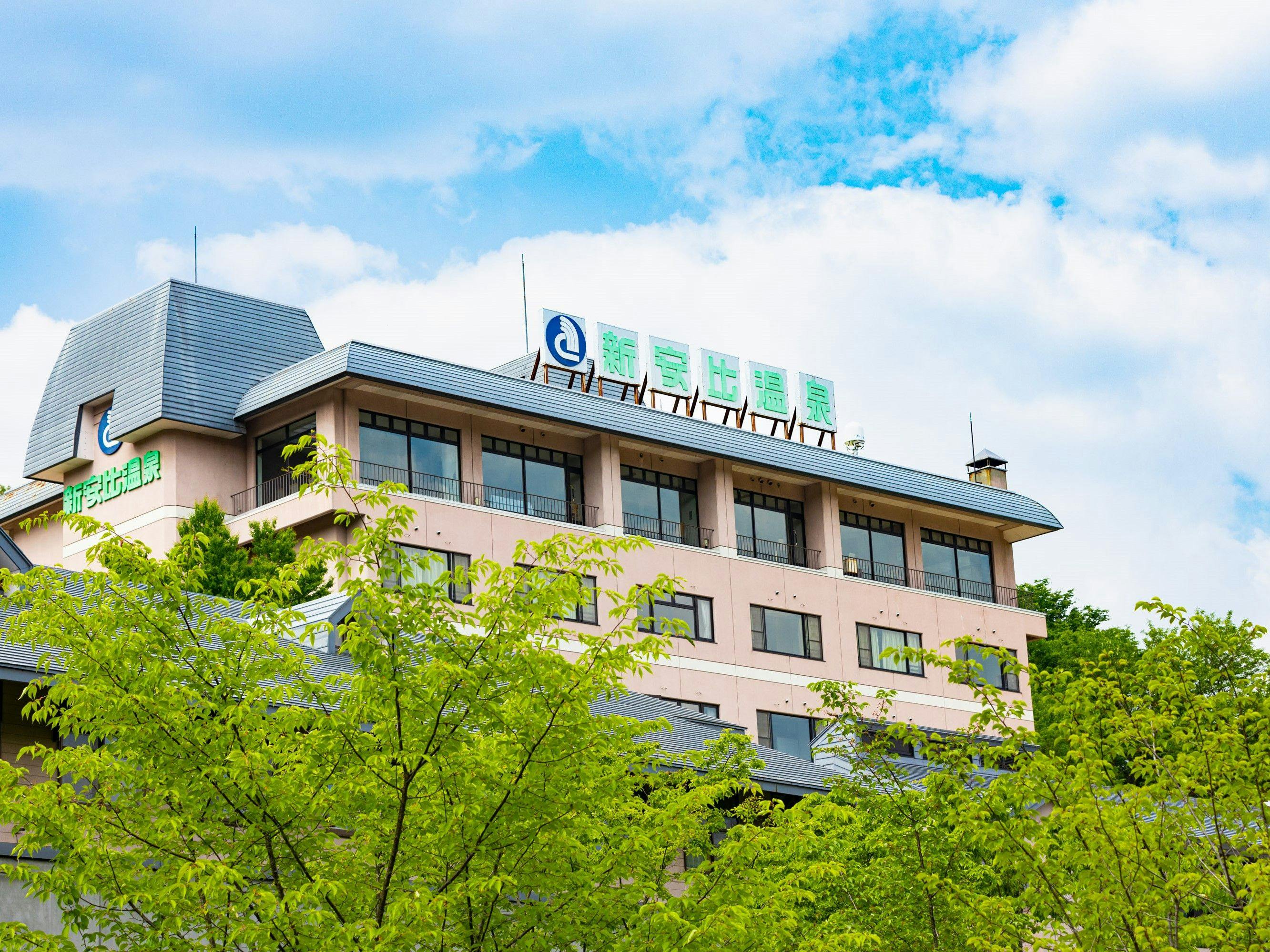 Shinappi Onsen Seiryukaku